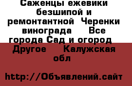 Саженцы ежевики безшипой и ремонтантной. Черенки винограда . - Все города Сад и огород » Другое   . Калужская обл.